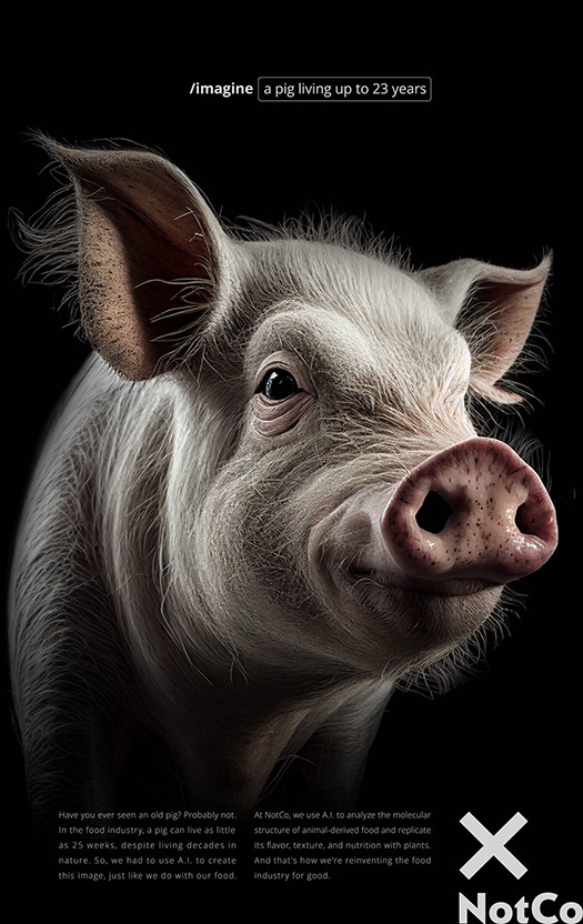 Pig