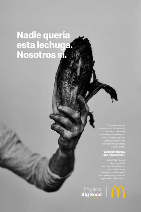 Lechuga