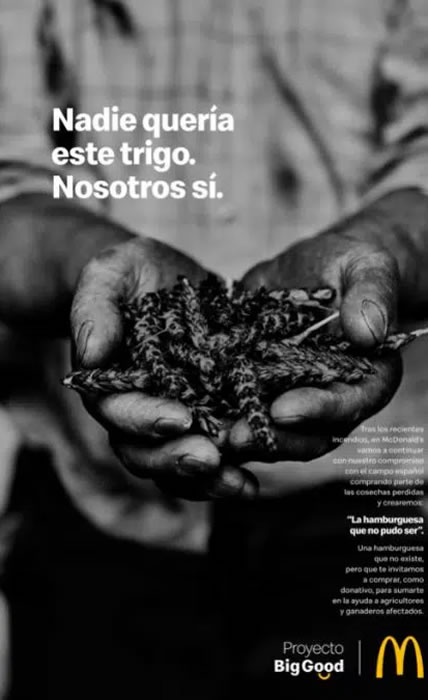 Trigo