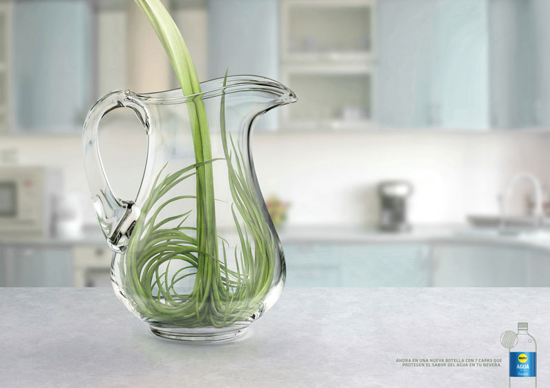 Campaña Splash (Cebolla Verde)