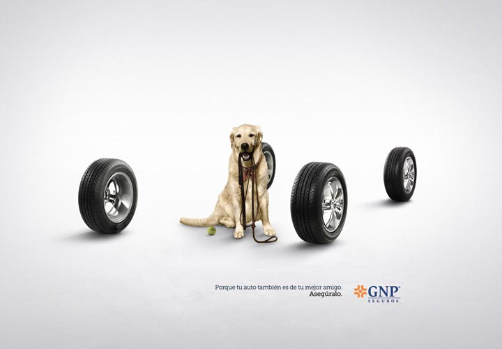 Campaña Grupo Nacional Provincial