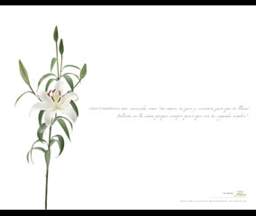 La Mejor Flor
