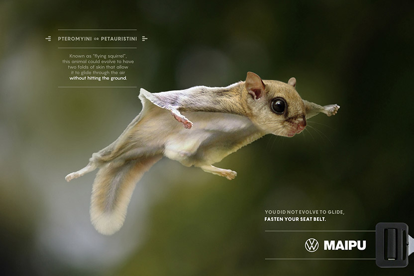 Campaña Maipú Automotores - Evolución