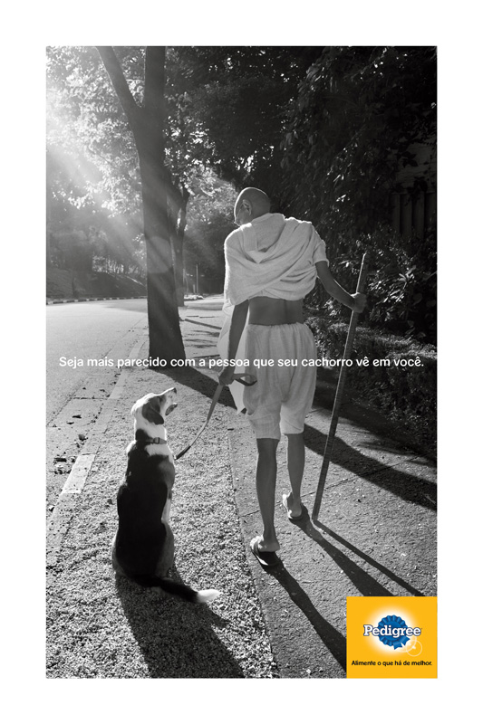 Pedigree Brasil
