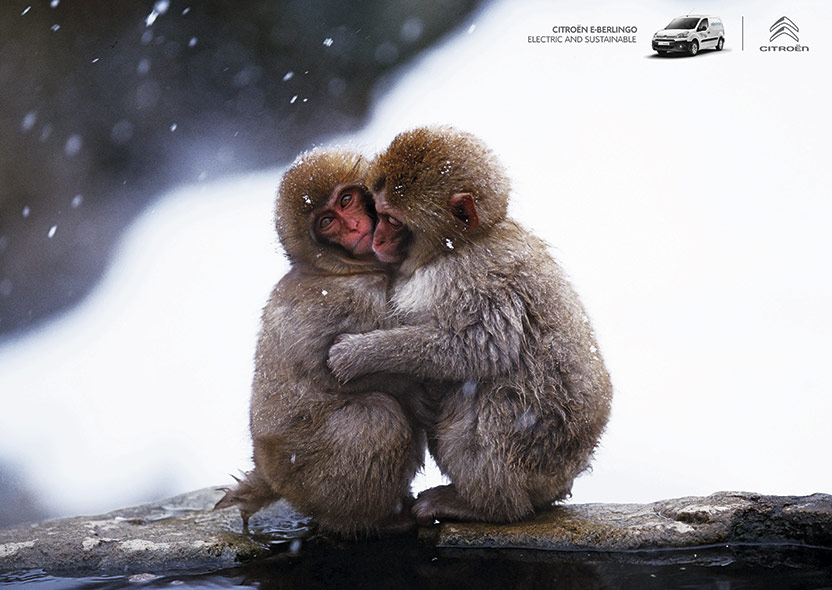 Monos