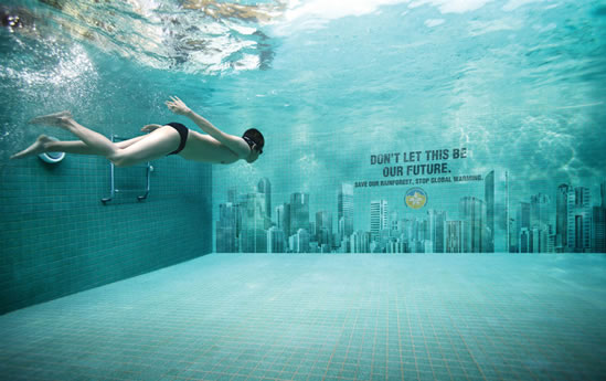Gráfica Fundación Regional Enviromental Awareness