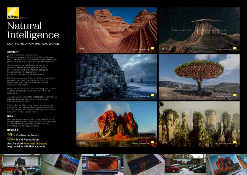 Board - Natural Intellegence