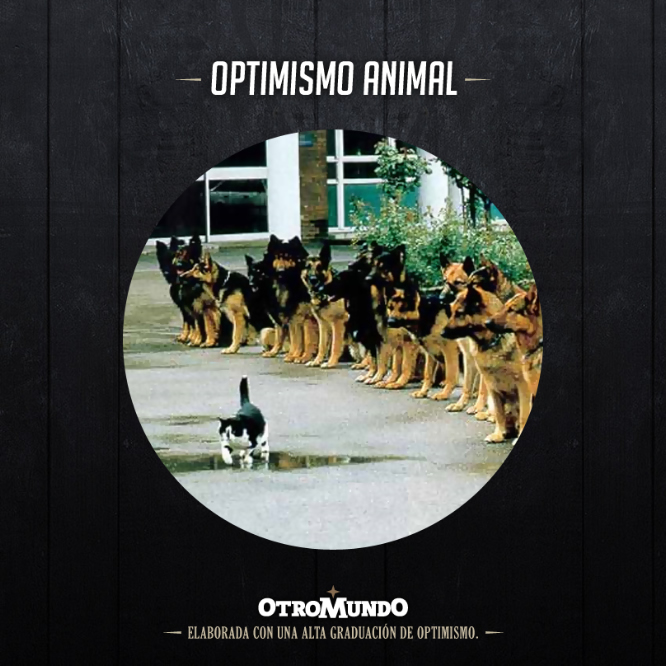 Optimismo 2