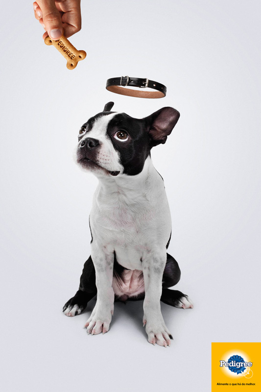Dogs 2