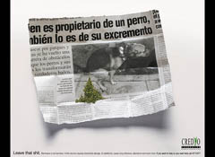 Perro