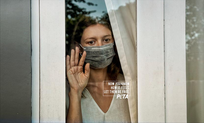 PeTA