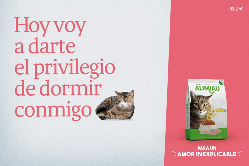 Privilegio