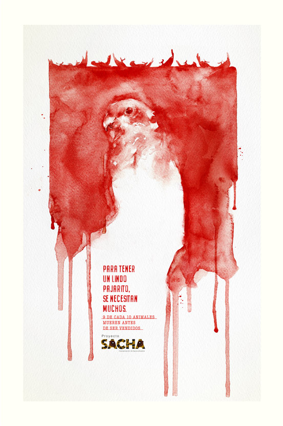 Campaña Sacha - Bloody Animals