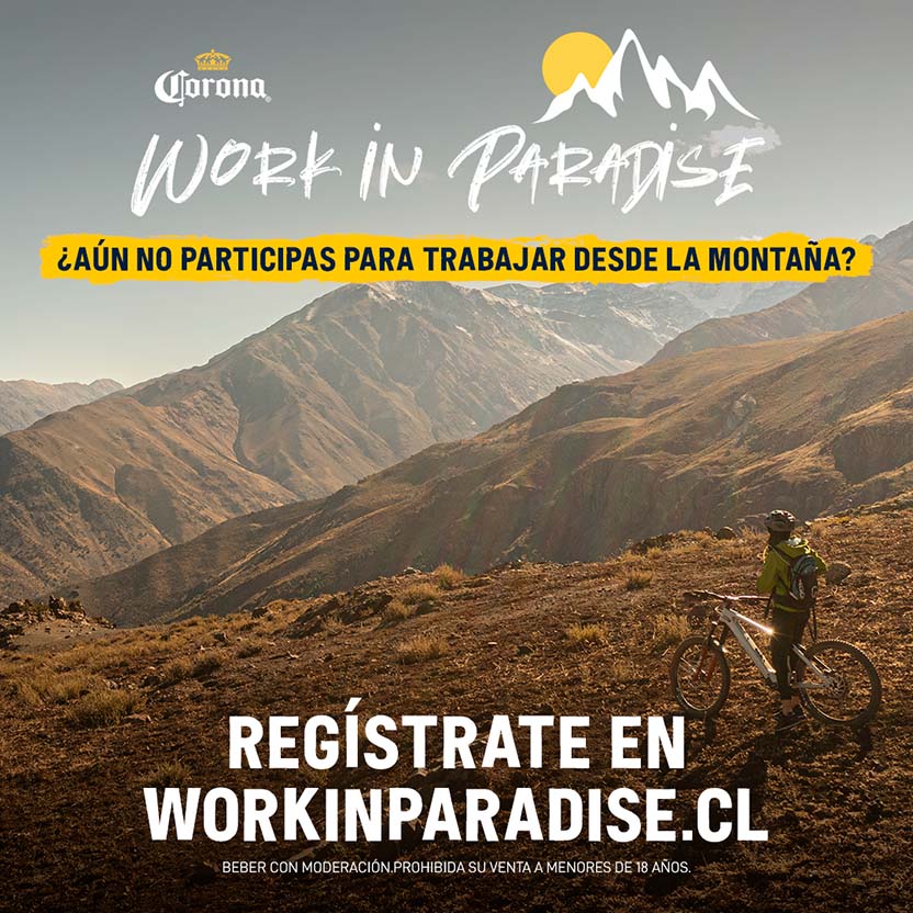Work In Paradise 2