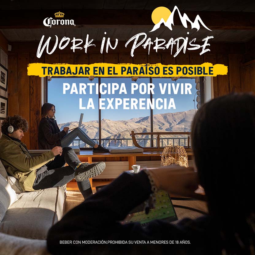 Work In Paradise 3