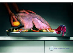 Pavo
