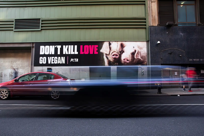 PeTA