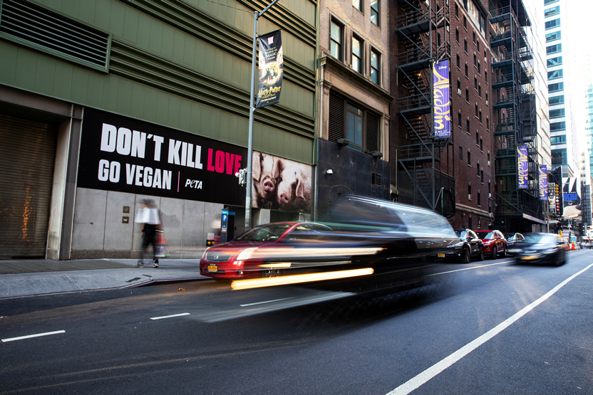 Dont Kill Love 2
