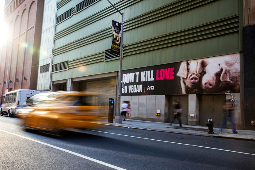 Dont Kill Love 3
