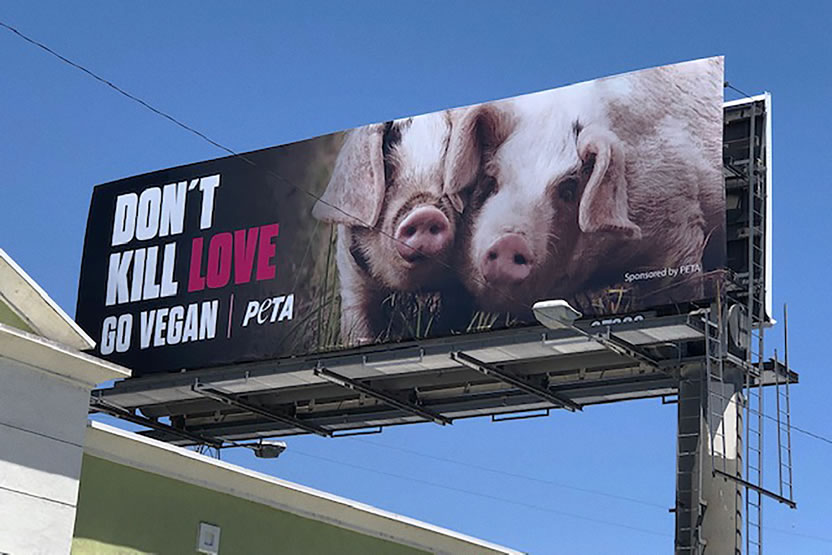 Dont Kill Love 4
