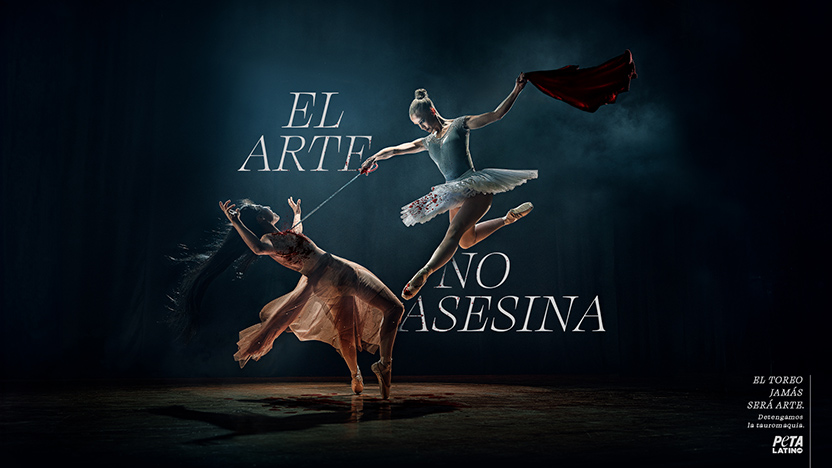 Campaña Peta Latino - Esto no es Arte