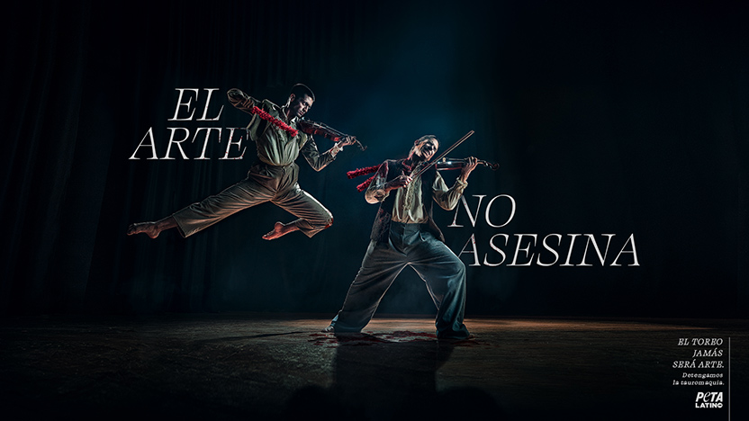 Músicos