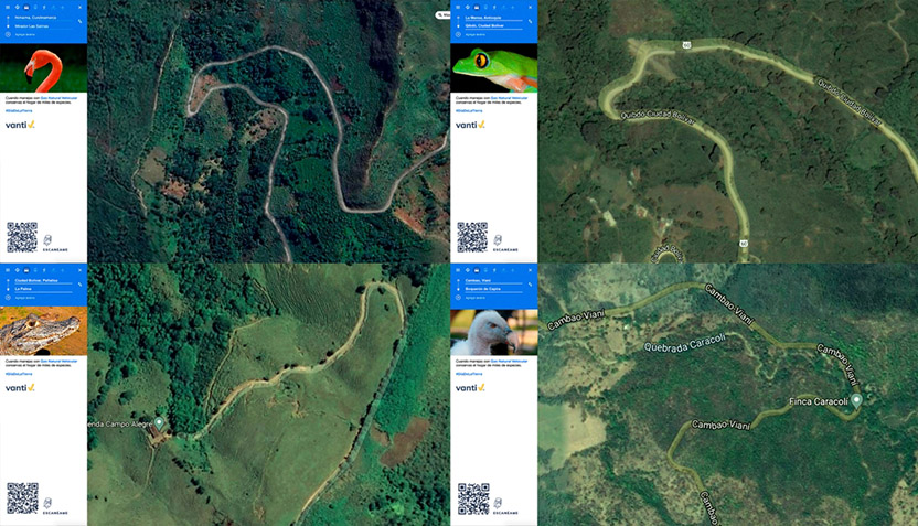 Mapas de vida 03