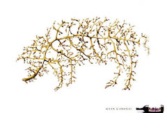 Ganador Oro Press & Poster