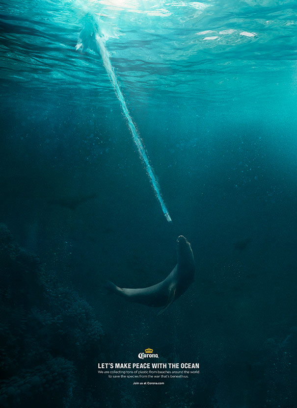 Foca