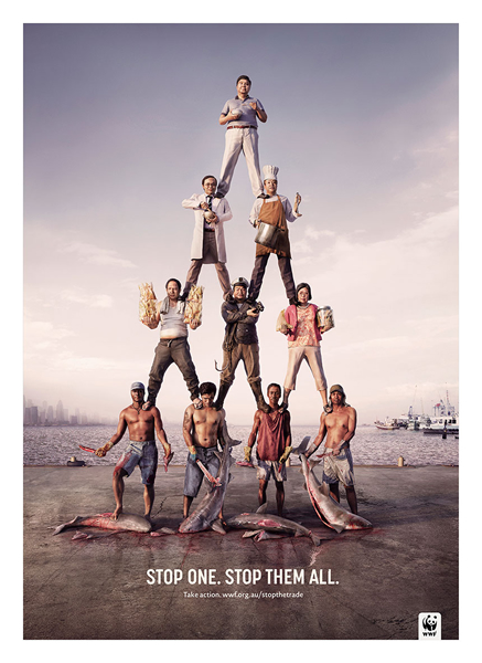 Poachers 2