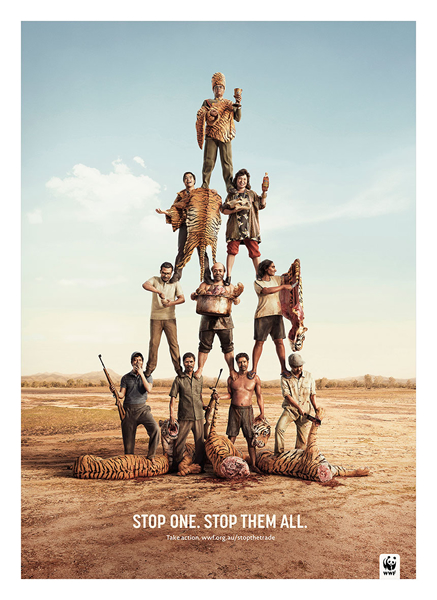 Poachers 3