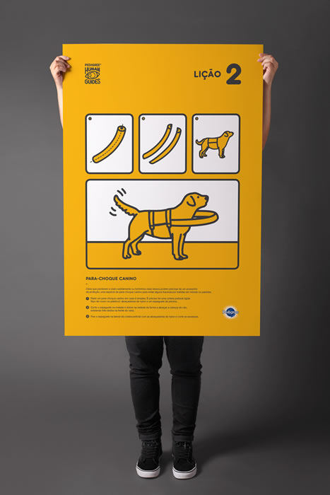 Poster Tutorial PEDIGREE Human Guides 2