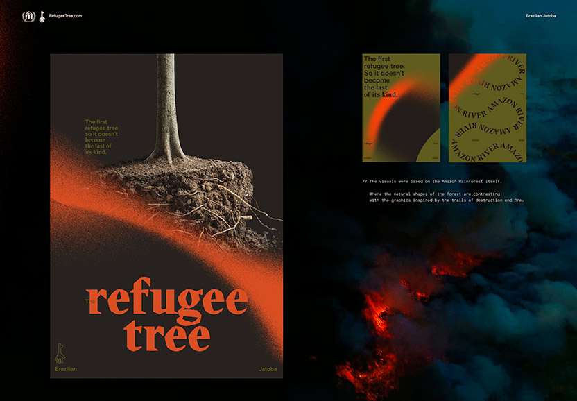 Refugee tree 03