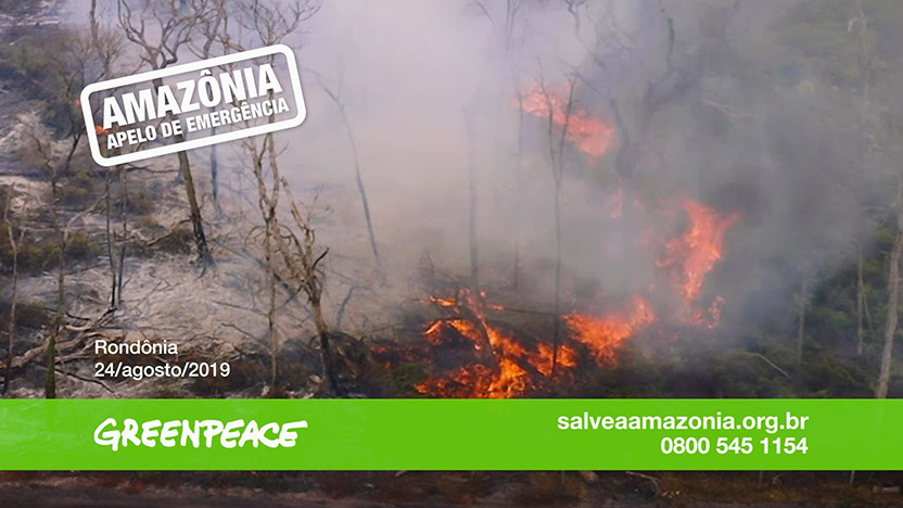 Campaña Greenpeace Brasil - Amazonia