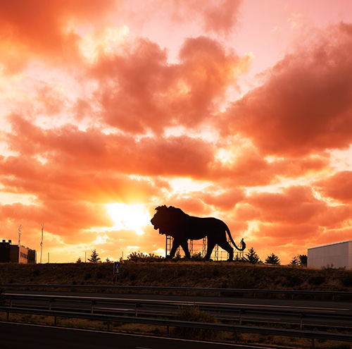 Acción Disney - El Rey León