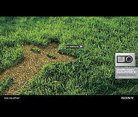 Sony de Venezuela