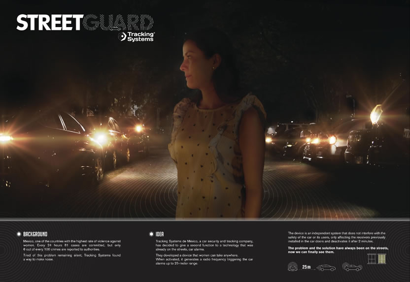Board Streetguard