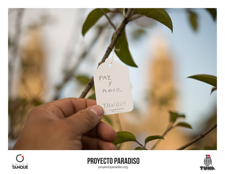Tanque Group / Proyecto Paradisco