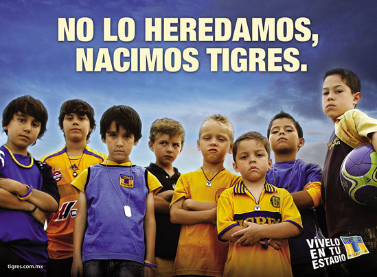Campaña - Tigres de la UANL (BC México)