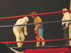 Titanes en el Ring