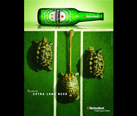 Tortuga