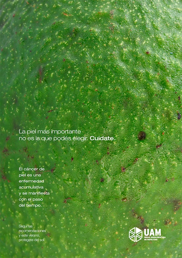 Palta