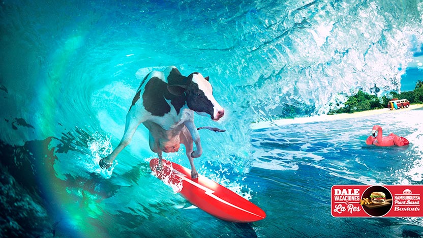 Surf