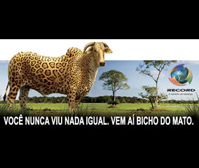 Rede Record