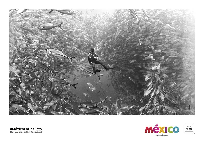 Visit Baja California Sur