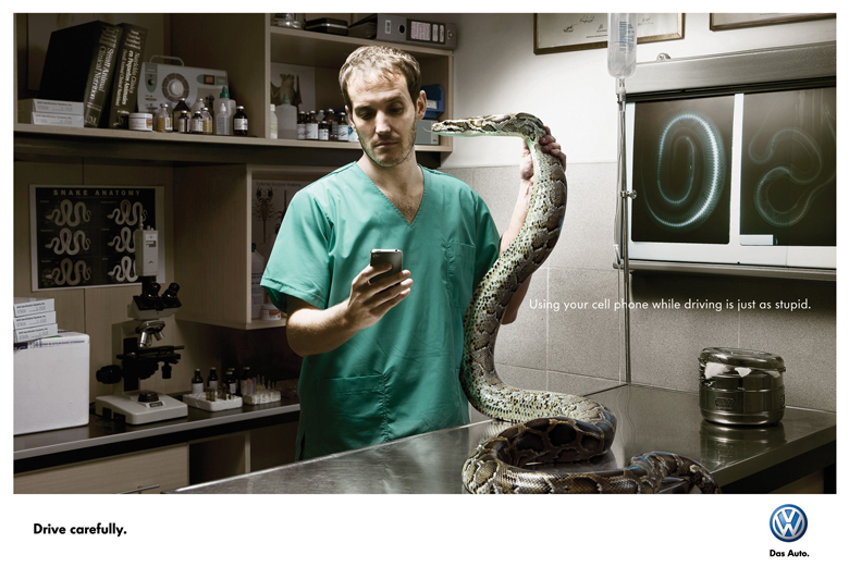 Veterinario