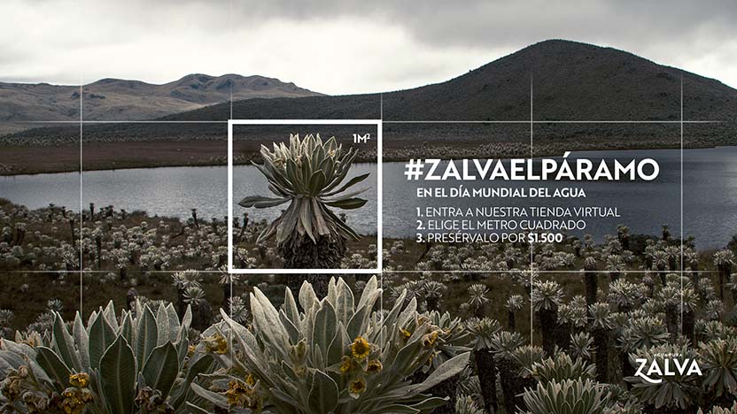 AGUA ZALVA