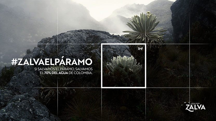 #ZalvaElParamo 3