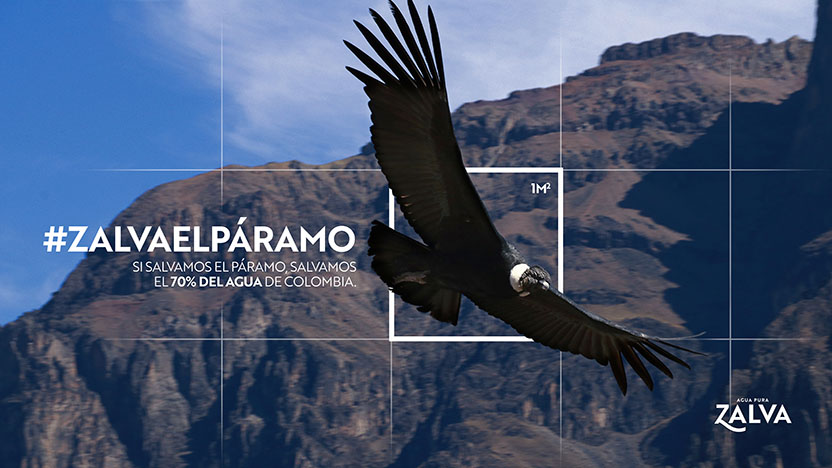#ZalvaElParamo 4