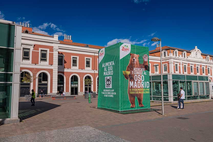 Alimenta al Oso Madrid